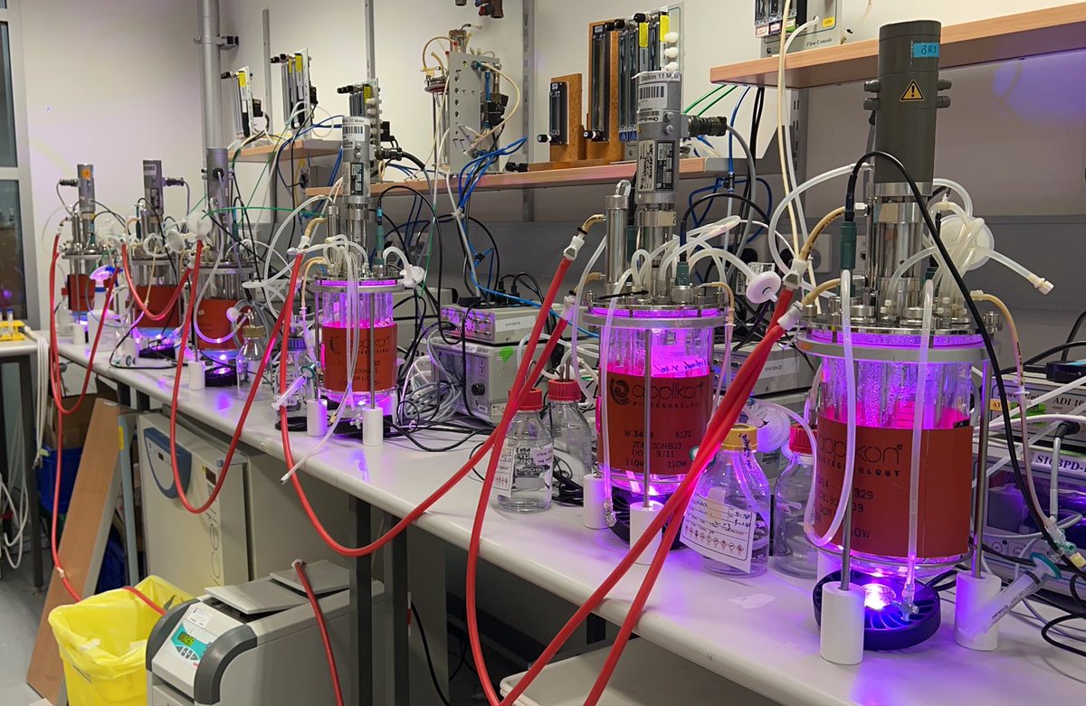 tinggenglai's tweet photo. Culturing #cyanobacteria 
2022 vs 2023 https://t.co/Gbb7pzUhWM