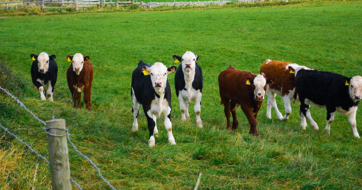 Wynnstay Group tweet media