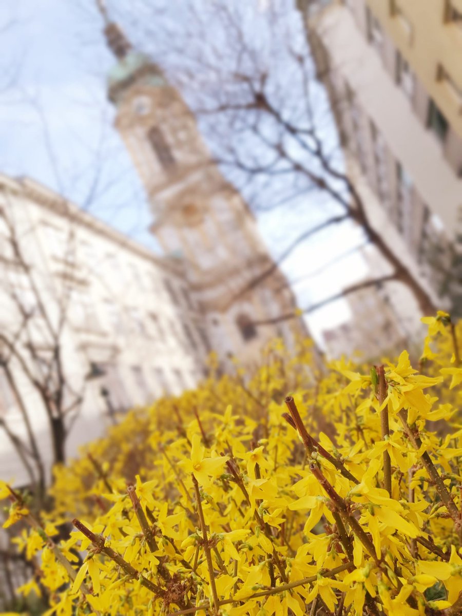 Beč miriše na proljeće. 🌼🌷😍

#spring #Vienna #EurocommPR #ViennaOffices