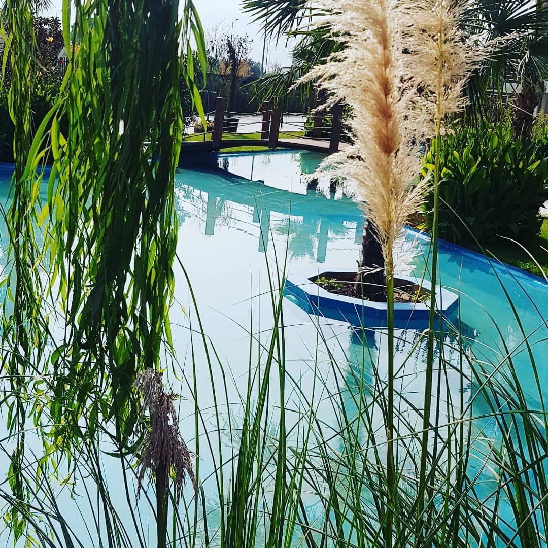 Royivaarch's tweet photo. Nexus Noran - Manisa
https://t.co/STJdWgRkIW
.
.
.
#royiva #royivaarchitecture #architecture #landscape #landscapes #architectural #architect #design #tasarım #mimarlik #peyzaj #architects #designer #project #proje #arch #landscapedesign #garden #gardenproject #gardendesign #site https://t.co/4ZnPPOurFp