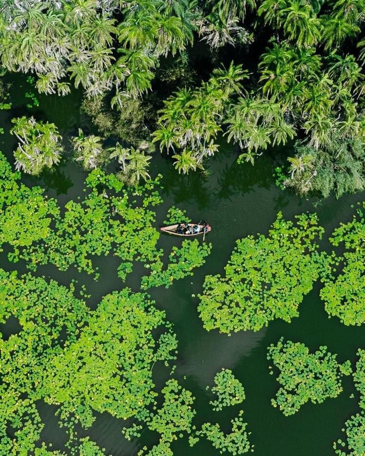SafarisBurundi's tweet photo. la nature du pays ,voici le lac aux oiseaux kirundo province ,pendant l'hiver les oiseaux d'Europe immigrent vers le Burundi .@nellynadia3 https://t.co/Y8sFnwiN9X