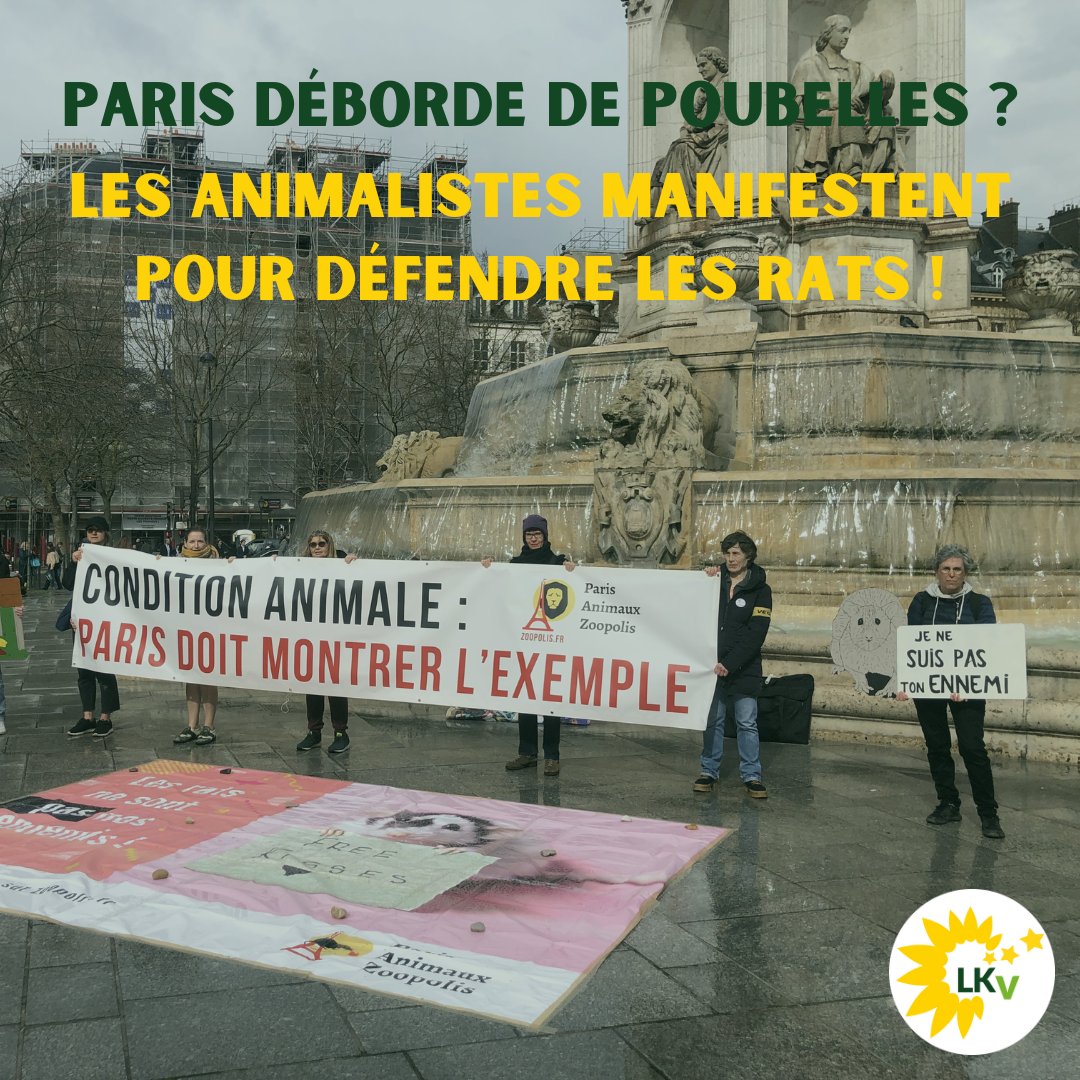 LesEscrolos's tweet photo. En pleine grève des éboueurs, les animalistes font une manifestation pour défendre les rats ! Les khmers verts ont d’incroyables priorités ! 🤔🤯
#khmersverts #annehildago #saccageparis #rat #animaliste #paz #pariszoopolis #nupes https://t.co/fHLFA5wiT6