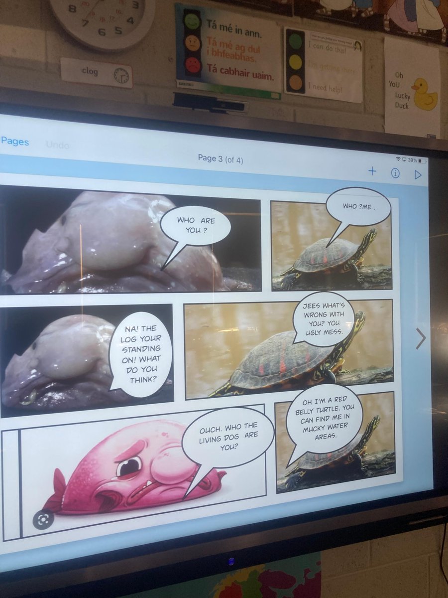 sea_synergy's tweet photo. We had a fantastic morning on Thursday in Fibough N.S on our return to see their projects! Some great work done by all and it was great to see such interest in their work! @explorersedu
#explorerseducationprogramme #marineinstitute #exploreyourshore #oceanliteracy#keepexploring https://t.co/ESrnx5kczv