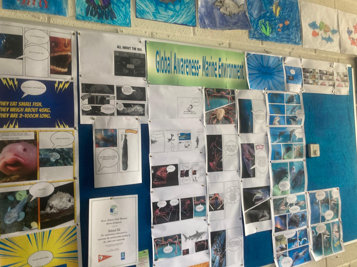 sea_synergy's tweet photo. We had a fantastic morning on Thursday in Fibough N.S on our return to see their projects! Some great work done by all and it was great to see such interest in their work! @explorersedu
#explorerseducationprogramme #marineinstitute #exploreyourshore #oceanliteracy#keepexploring https://t.co/ESrnx5kczv
