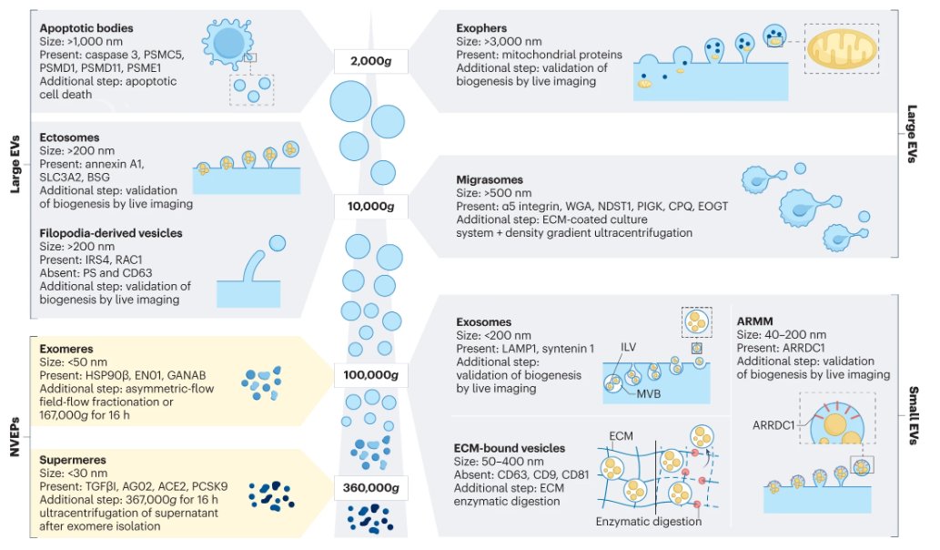Read about how understanding the interactions of extracellular vesicles inspires materials design to control their release, retention &amp; production for various biological and therapeutic applications in this Review by Jae-Won Shin (<a href="/regenknol/">JW Shin</a>) &amp; colleagues: nature.com/articles/s4157…