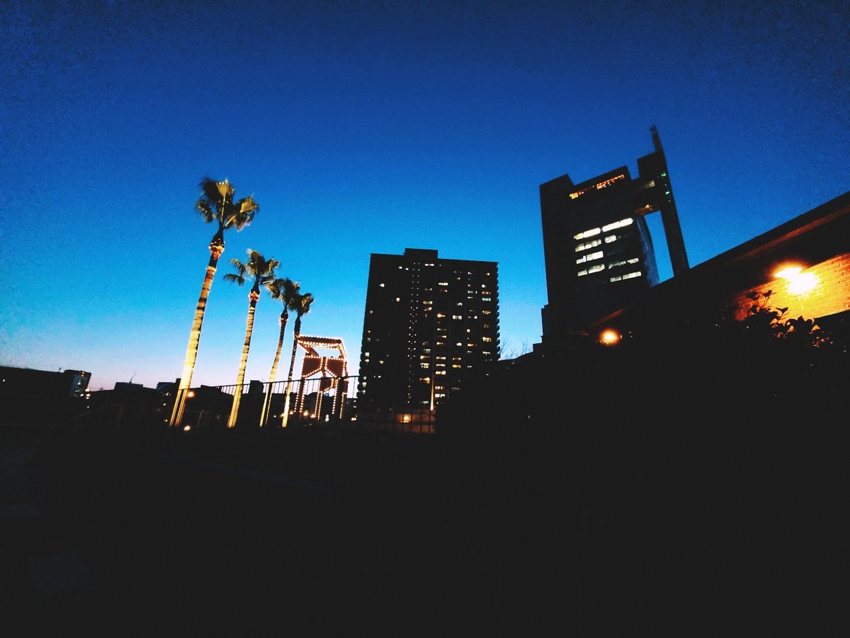 k_kanemoto's tweet photo. 【ポコチャ配信】
本日は、21時からを20時に
早めて1時間の生配信をします。
明日の試合の為に、早めに準備や睡眠が必要ですので！
お間違えのないよう〰️ https://t.co/wAeb6aDEva