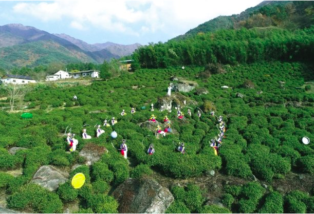 Hadong brews Korean tea for the world - masterstalk.online/2023/03/20/had…