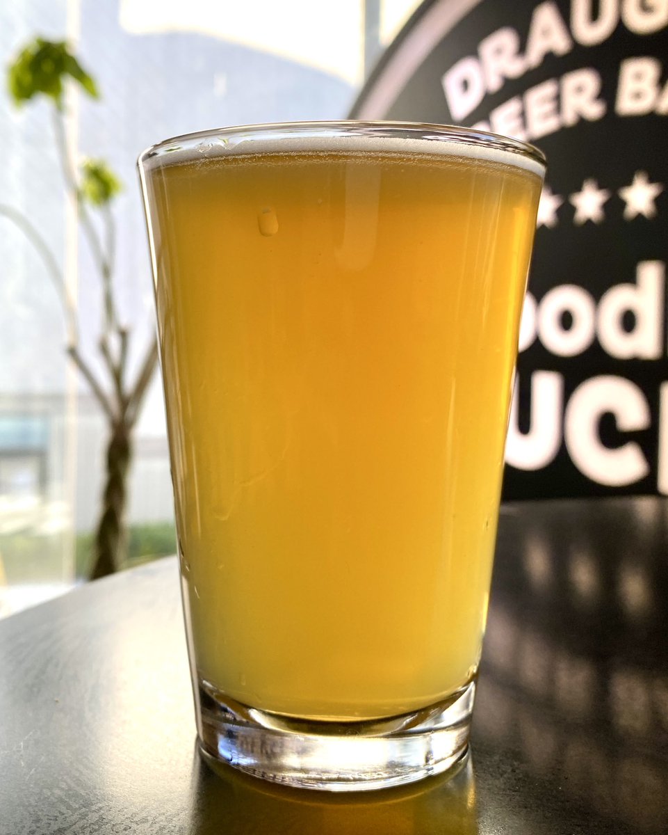 Joe_Beerski's tweet photo. 🍺Integration 008 Double Yeast IPA by Craft Beer Base
🍺The Fiddler IPA by One Drop Brewing
🍺IPA 'Homage' by Wolf of the Willows
🍺The Matriarch by Co-Conspirators Brewing
#OneDropBrewing #CoConspirators #WolfoftheWillows #CraftbeerBase https://t.co/urdjT6aAnR