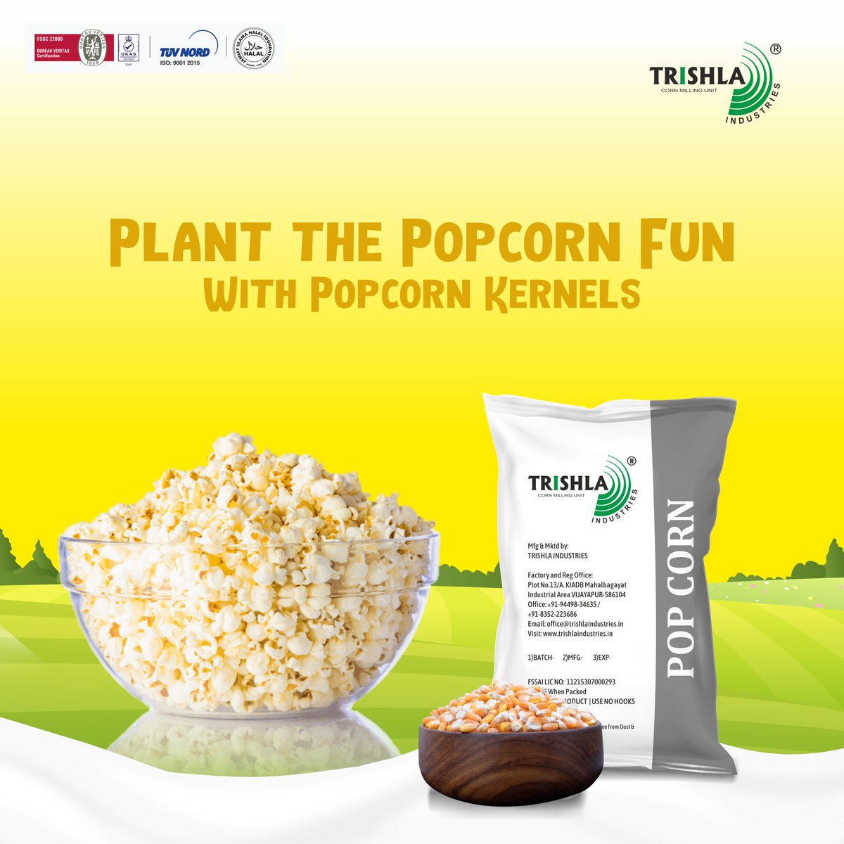 Trishlaind_2004's tweet photo. Are you ready to make the perfect batch of popcorn? Get the best popcorn kernels for amazing, tasty popcorn every time! 

DM for more details!

#Popcorn #Popcornkernels #CornFlakingGrits #CornGrits #CornMeal #MaizeBroken #CrushedCorn #CrushedJagung https://t.co/C06pXw1BDN
