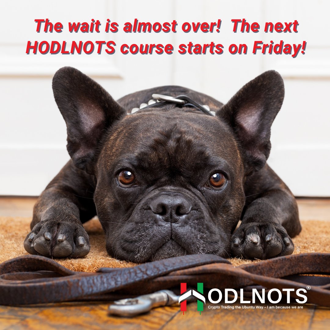 hodlnots's tweet photo. The anticipation around this upcoming course has been amazing! We are excited! There are still a few spots left! Grab them here --> https://t.co/n4IYseOdDt #cryptoeducation #ScalpTraders #binance #KuCoin #TradingViewIndicators https://t.co/eHp4Lmsb3O