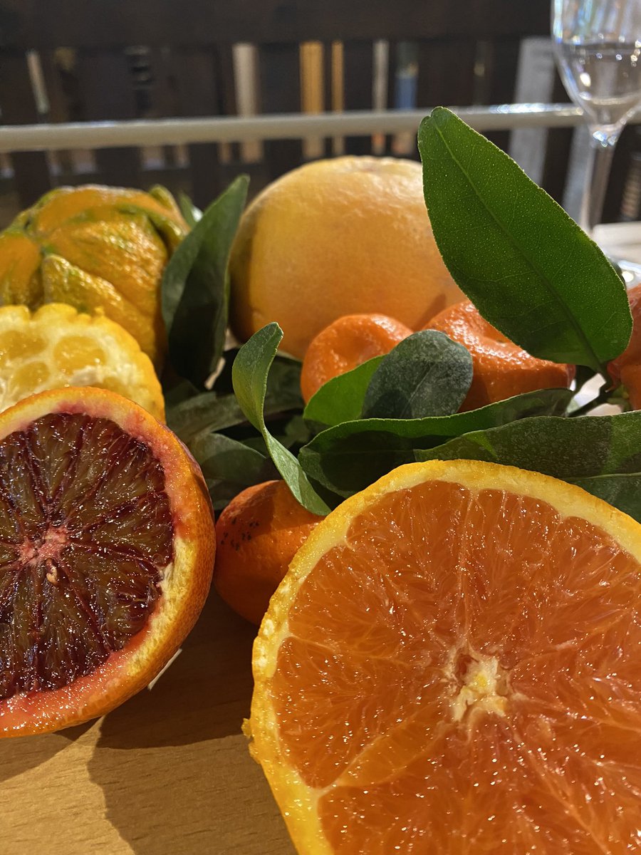 INRAE_Corse's tweet photo. 🍊vend. 31-03 Centre INRAE Corse organise 1 journée découverte des variétés d’agrumes du #CRB #CITRUS Journée dédiée aux transformateurs Agrumes (restaurateurs, pâtissiers, confituriers, parfumeurs …).
Inscription: 
simone.riolacci@inrae.fr 
sous réserve de places dispo https://t.co/RxAtskeE6o