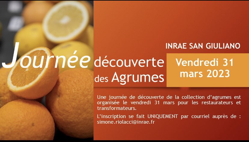 INRAE_Corse's tweet photo. 🍊vend. 31-03 Centre INRAE Corse organise 1 journée découverte des variétés d’agrumes du #CRB #CITRUS Journée dédiée aux transformateurs Agrumes (restaurateurs, pâtissiers, confituriers, parfumeurs …).
Inscription: 
simone.riolacci@inrae.fr 
sous réserve de places dispo https://t.co/RxAtskeE6o