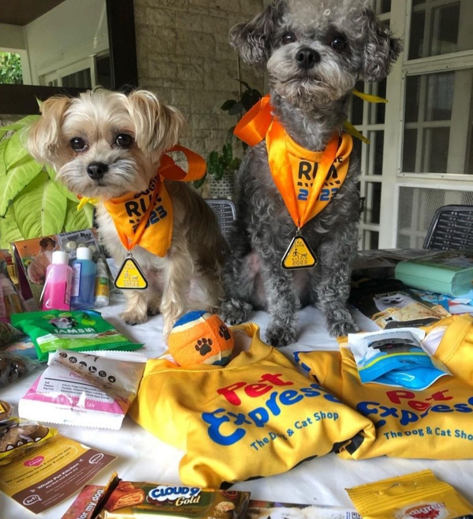 pinaysipatricia's tweet photo. Our boys with their hard-earned medals & doggie treats after finishing the #doggierun2023.
#petexpress
#AdoptDontShop https://t.co/IlAP4vZBBB