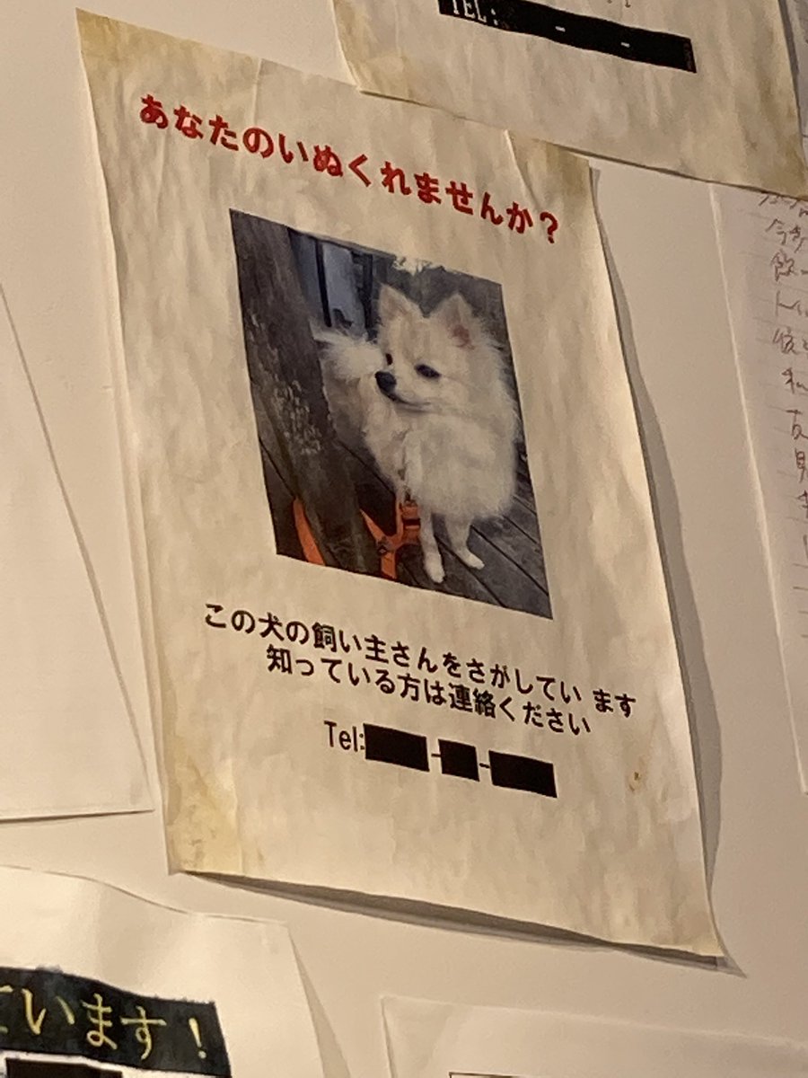 #その怪文書を読みましたか 
いぬの怪文書が良かったです 