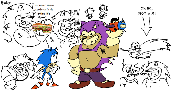 DID YOU KNOW??: in Sonic CD, if you get to the Metal Sonic race really fast without getting hit at all Buster the Porcupine jumps in from offscreen and kills metal sonic, resulting in you having to fight him instead?? really crazy the secrets they put in those old games 