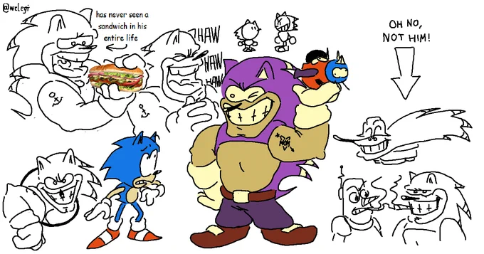 DID YOU KNOW??: in Sonic CD, if you get to the Metal Sonic race really fast without getting hit at all Buster the Porcupine jumps in from offscreen and kills metal sonic, resulting in you having to fight him instead?? really crazy the secrets they put in those old games 