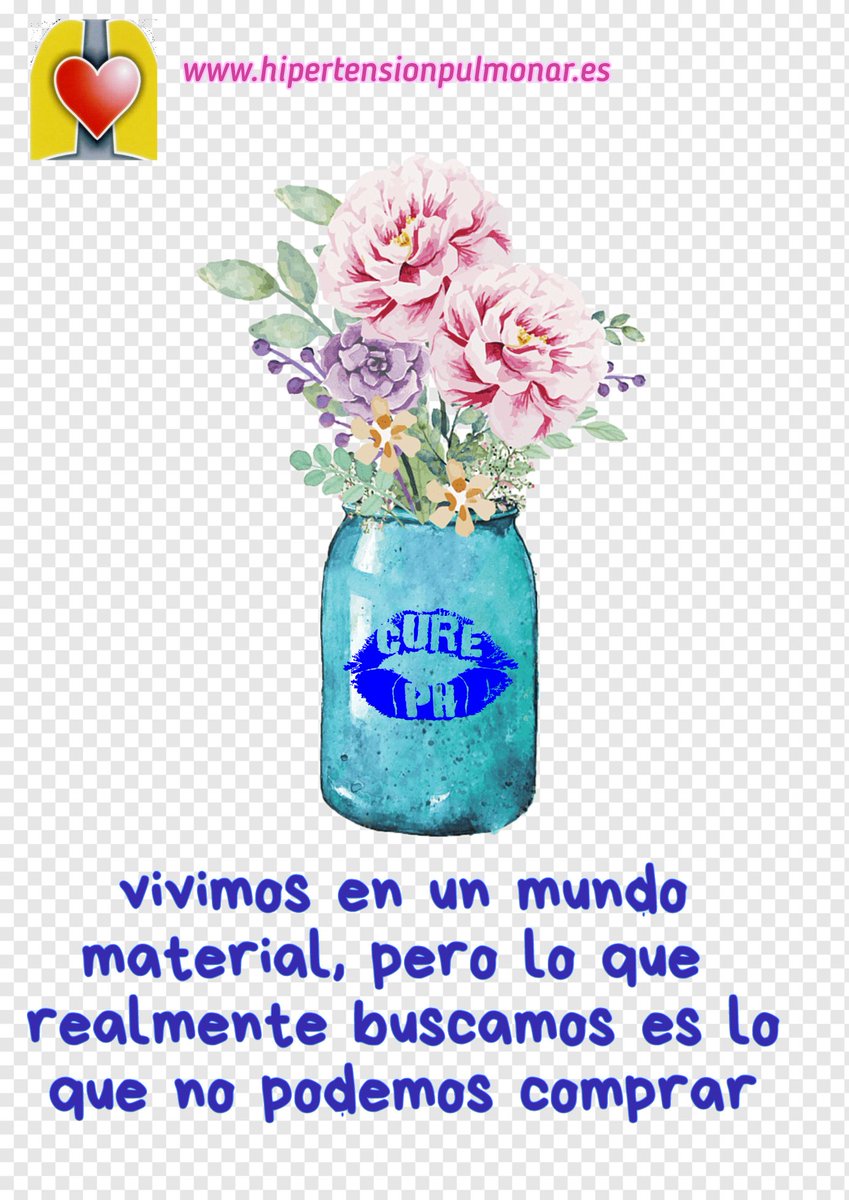 ANdHP's tweet photo. Seguimos esperando una investigación que nos lleve a la curación de la #HipertensiónPulmonar y no nos rendimos.
A por el #lunes
#SonrisasAzules #investigacion #curación #phcure #SomosFuertes #VamosLejos #JuntosLlegamosAMás #bizum03573 https://t.co/CqaEVZNiex