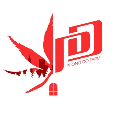 Julynguyen993's tweet photo. #ẢnhHồsơMới https://t.co/Qmu2fFN2xD