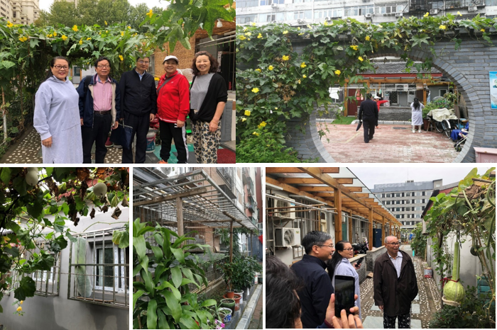 sieugreen's tweet photo. #SiEUGreen is an #EUChina cooperation Project aiming to enhance #UrbanAgriculture, which has an important role in Asia. It has an ecologican, economic and social function, facilitating community harmony. @HorizonEU #ResearchImpactEU #InvestEUResearch  #EUFunding https://t.co/uuE3pyJMSH