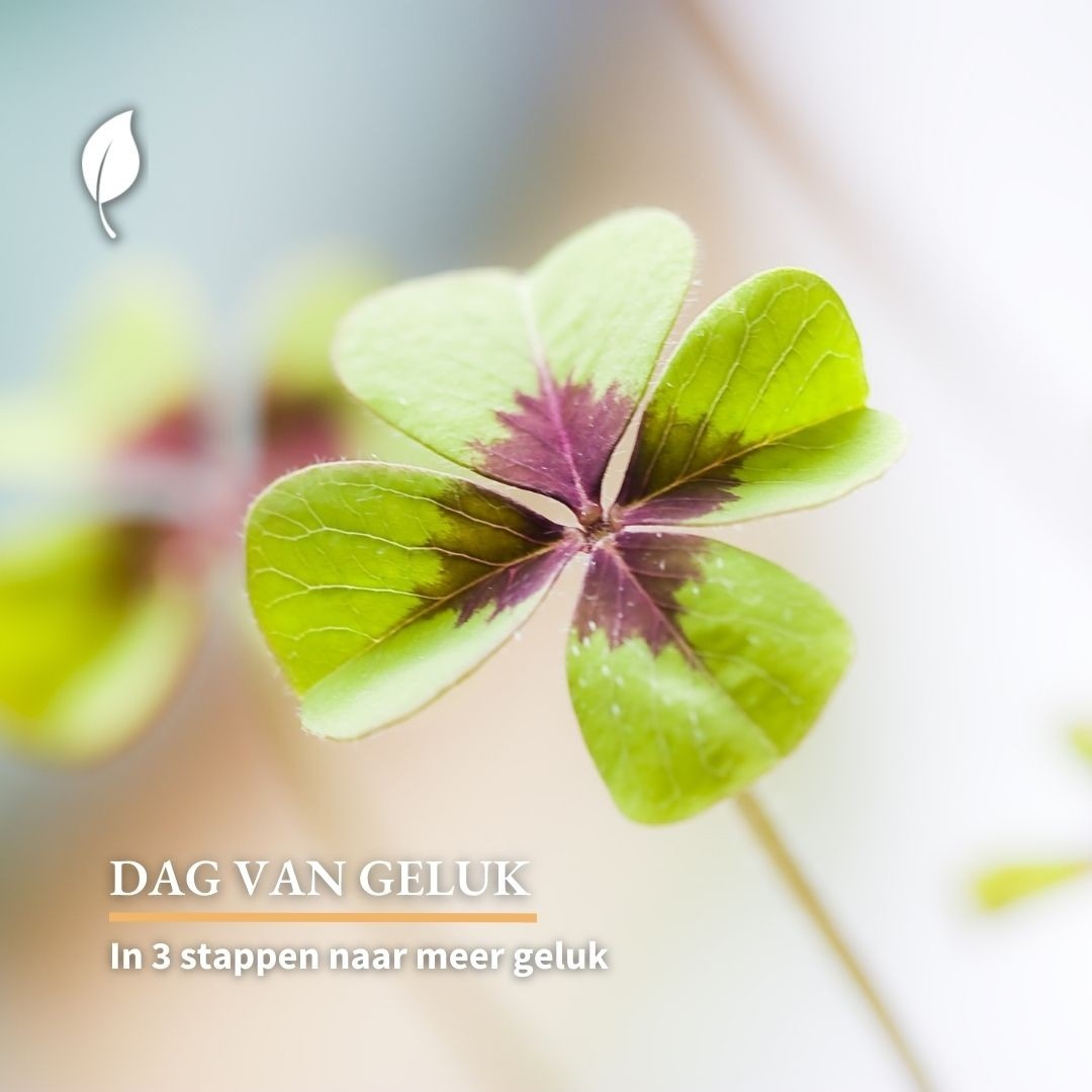 Vandaag, 20 maart is het internationale Day of Happiness: met deze 3 stappen ga jij op weg naar meer geluk! 🍀

livegreenmagazine.nl/day-of-happine…