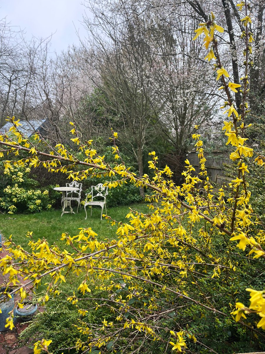 Garden Brocante tweet media