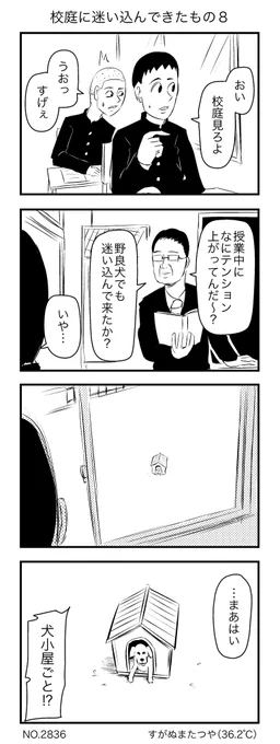 校庭に迷い込んできたもの8 