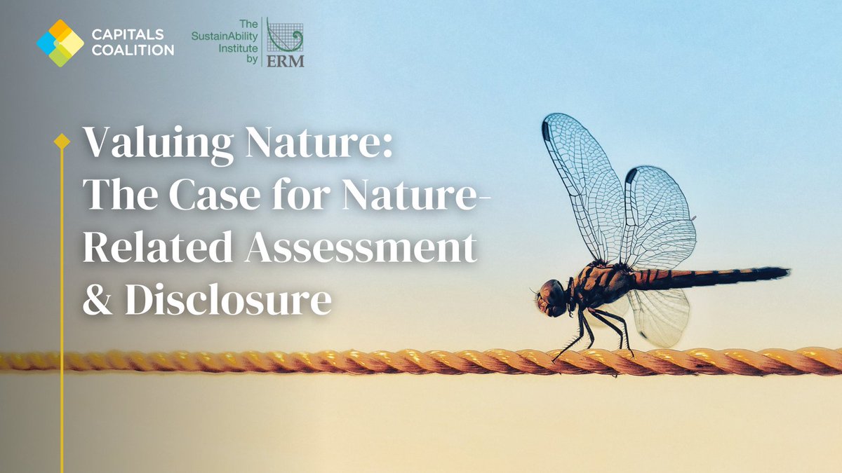 Capitals Coalition (@CapsCoalition) on Twitter photo 2023-03-20 09:26:26 The connection between biodiversity & business is deep. Trillions of dollars of economic value across the world are dependent on nature & its services. Our report with @SustInsti builds the business case for nature-related assessment & disclosure. 👉 bit.ly/3mZYjXv The connection between biodiversity & business is deep. Trillions of dollars of economic value across the world are dependent on nature & its services. Our report with @SustInsti builds the business case for nature-related assessment & disclosure. 👉 bit.ly/3mZYjXv
