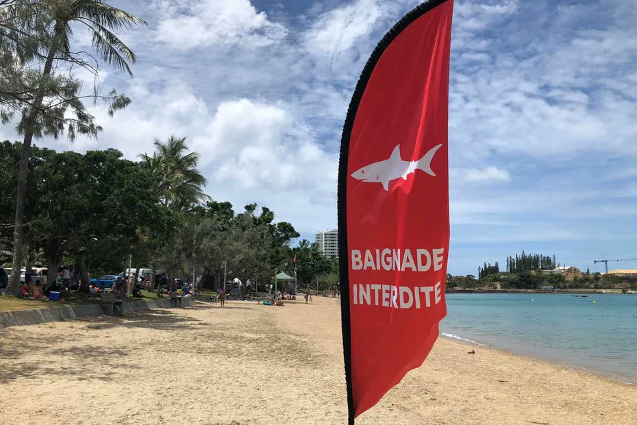 la1ere's tweet image. 🦈 #Requins en #Calédonie : la maire de Nouméa justifie l'interdiction de baignade jusqu'au 31 décembre 2023

🔶 Sanctions encourues, difficultés économiques, projet de filets… Sonia Lagarde était l'invitée de @ncla1ere 👇

📱💻 la1ere.francetvinfo.fr/nouvellecaledo…