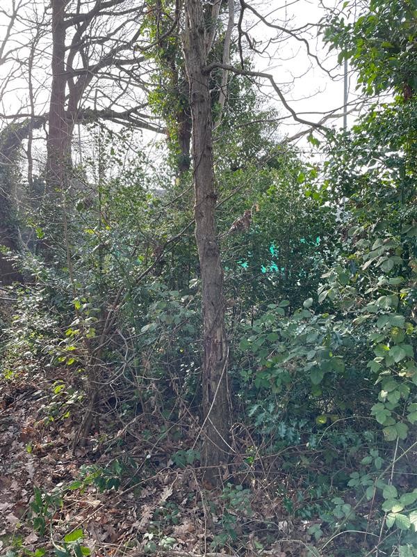 nwprobation's tweet photo. Cheshire #communitypayback worked on overgrown planting &amp; a slow stream @Poyntonsports, making a great difference.  The stream now flows freely with a small waterfall &amp; the team even spotted wildlife returning @CEOHMPPS @hmpps https://t.co/20d5vZR4J5