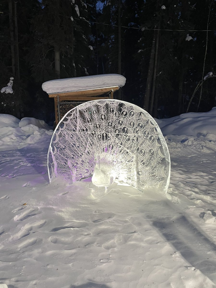PermafrostBeard's tweet photo. The Ice Park! It always such a cool event…. Ha. Have you had a chance to see the ice carving contests here? Oh and I’m taller than Ian again..😜
Keep Your Facejacket On!
#icepark #icecarving #fairbanks #alaska #lifebelowzero #alaskabeard #alaskaspring #beardeddad #fairbanksak https://t.co/zydZUj5aYp