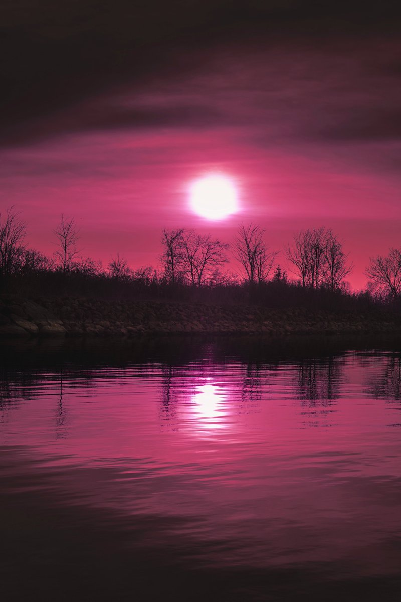 zosphotos's tweet photo. pink worlds https://t.co/sduBnLnz5D