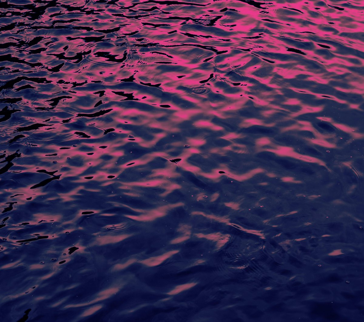 zosphotos's tweet photo. pink worlds https://t.co/sduBnLnz5D