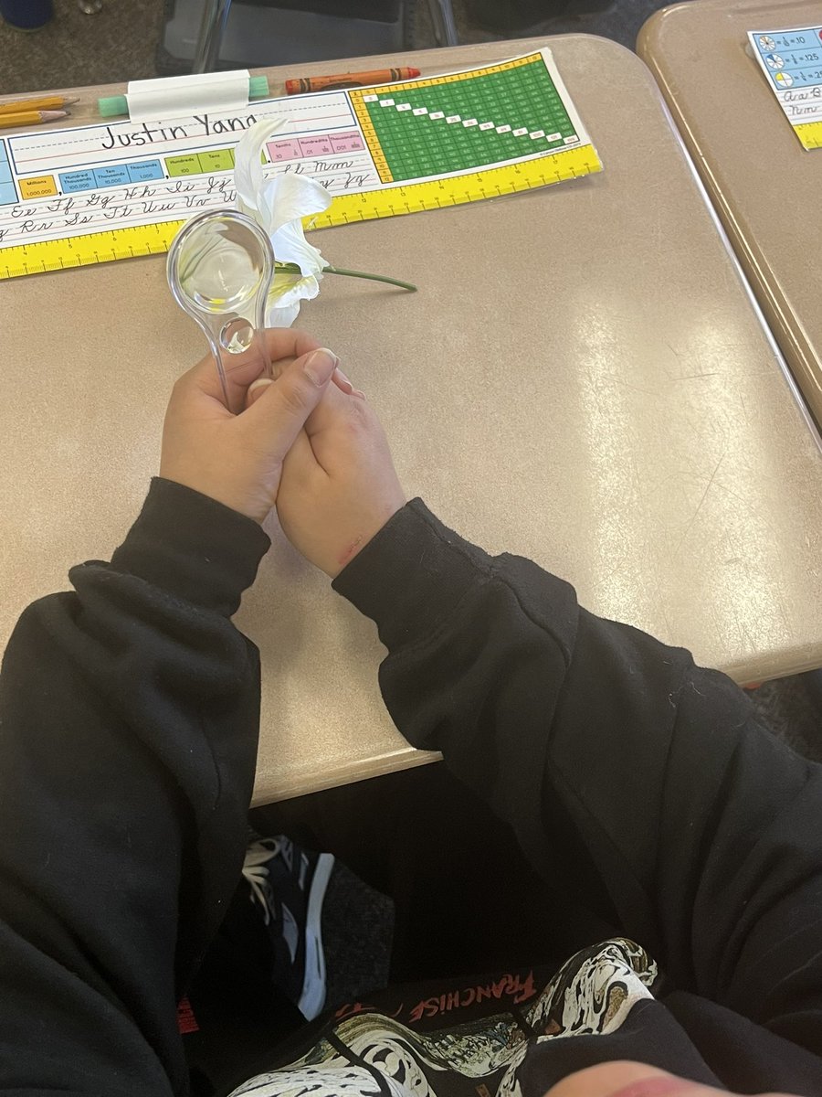 Kenya Moore-Kerr tweet media