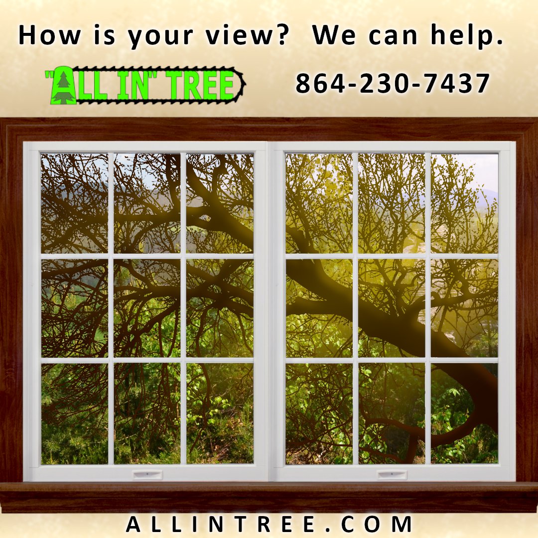 ALLINTREE's tweet photo. How is your view looking lately?  We can help.  Call 864-230-7437 for a free estimate.  #local #upstateSC #bestcustomerservice https://t.co/46Xw0R755A