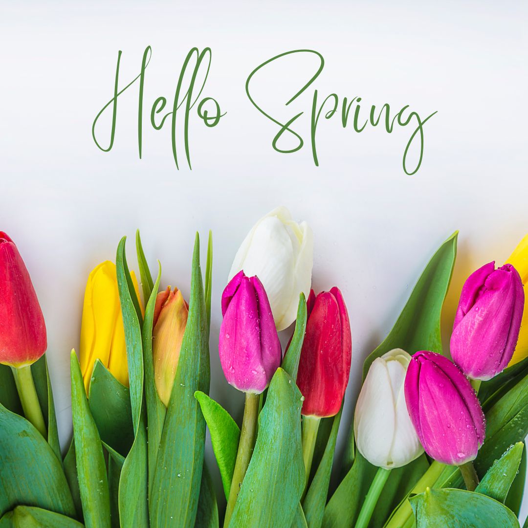 Happy Spring 
#springtime