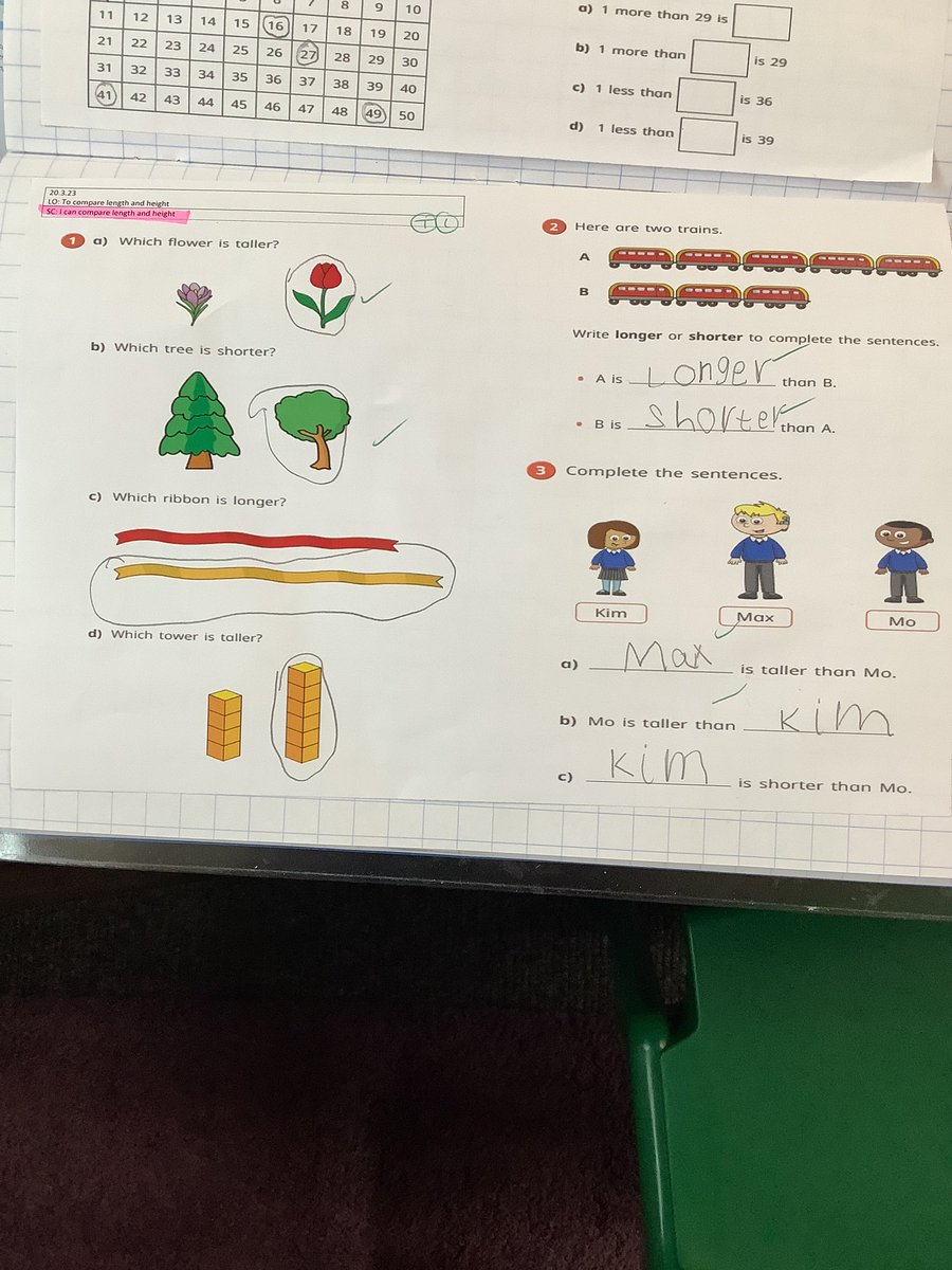 Halley Year 1 tweet media