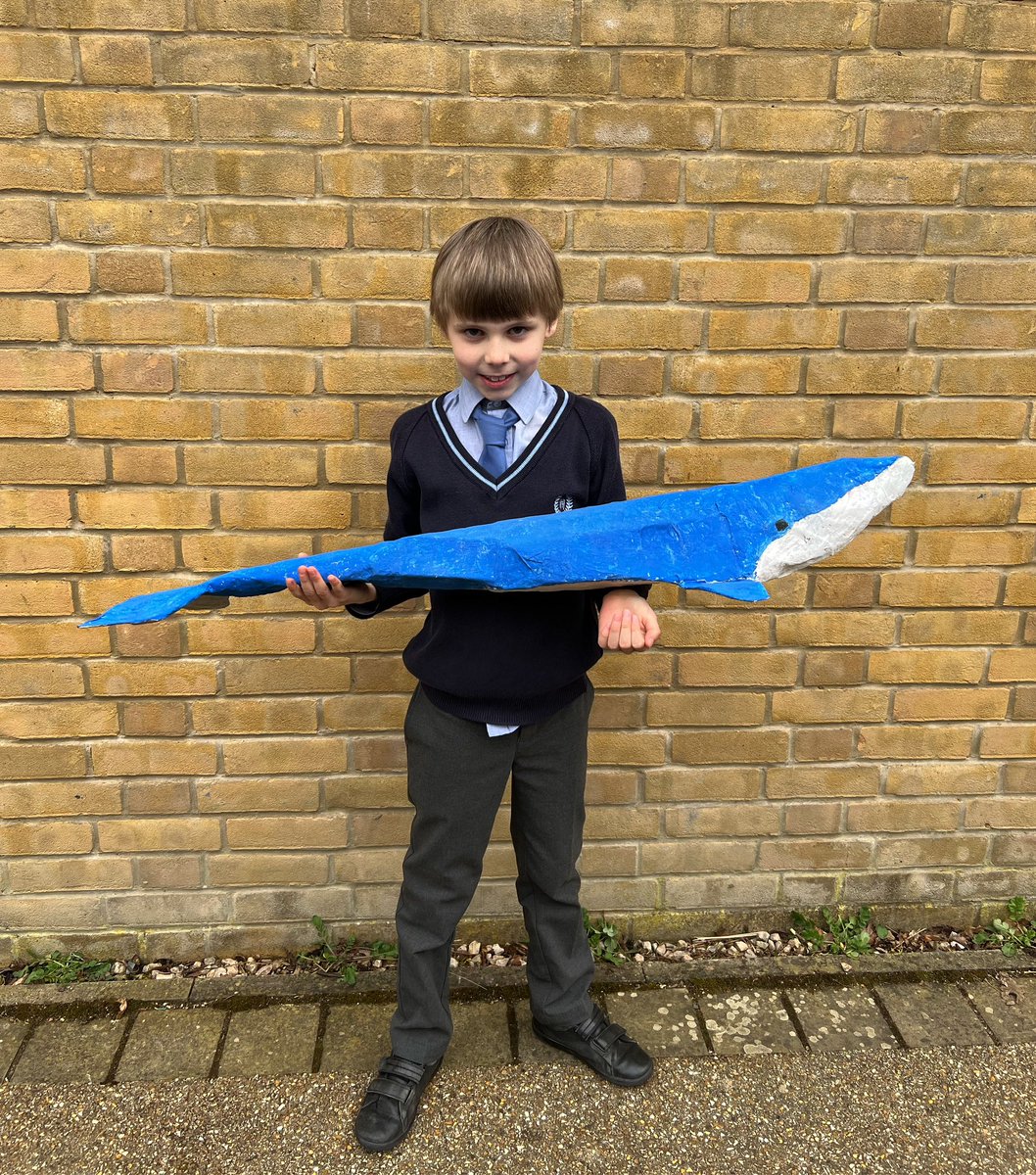 Here is one of our Year 3 pupils who has just completed his Bronze Junior Duke Award! 🐋⭐️

It has been wonderful to see all of the fabulous challenges being completed for the Duke Award so far this year. @dukeawards #juniorduke #lifeskills #aspiration #selfbelief #independence