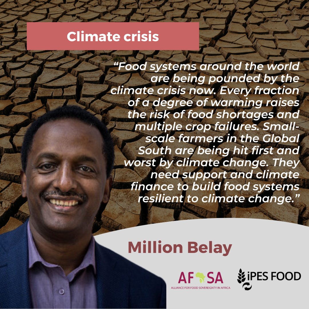 IPES-Food (@ipesfood) on Twitter photo Global warming is damaging food security says new #IPCC #ClimateReport.
Fundamental reform of #foodsystems is needed to avoid food-basket failures and unprecedented hunger. <a href="/Afsafrica/">AFSA</a> <a href="/Million_Belay/">Million Belay</a> #climatecrisis #agroecology Global warming is damaging food security says new #IPCC #ClimateReport.
Fundamental reform of #foodsystems is needed to avoid food-basket failures and unprecedented hunger. <a href="/Afsafrica/">AFSA</a> <a href="/Million_Belay/">Million Belay</a> #climatecrisis #agroecology