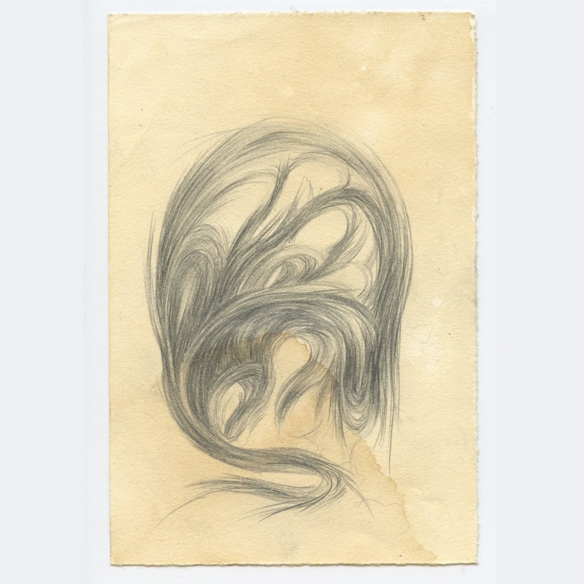 tabithasoren's tweet photo. #Obsessed with these hair drawings by Okja Kwon. ๐
graphite, watercolor, and tea stained paper on panelโ
๐ชWow O Wow @okjakwon.studio
.
#artistmother #womanartist #contemporaryart #graphite #tea #penandink #drawings #withabitoftime https://t.co/jRIXinGUC4