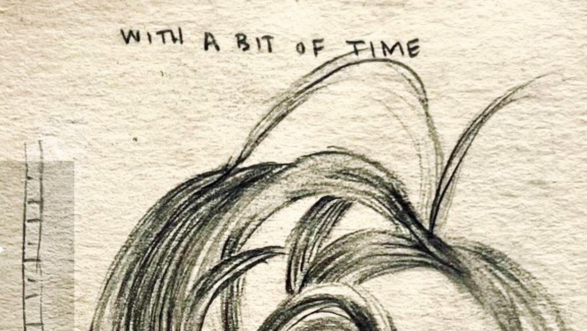 tabithasoren's tweet photo. #Obsessed with these hair drawings by Okja Kwon. ๐
graphite, watercolor, and tea stained paper on panelโ
๐ชWow O Wow @okjakwon.studio
.
#artistmother #womanartist #contemporaryart #graphite #tea #penandink #drawings #withabitoftime https://t.co/jRIXinGUC4