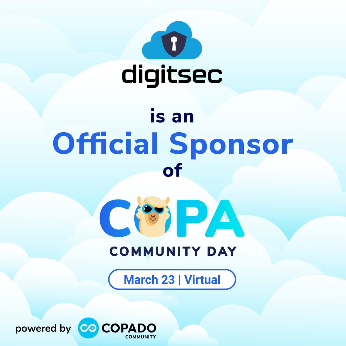 DigitSec, Inc tweet media