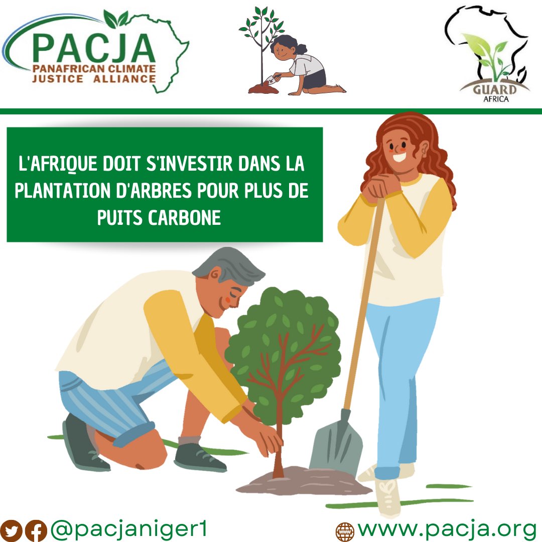 Pacjaniger tweet media