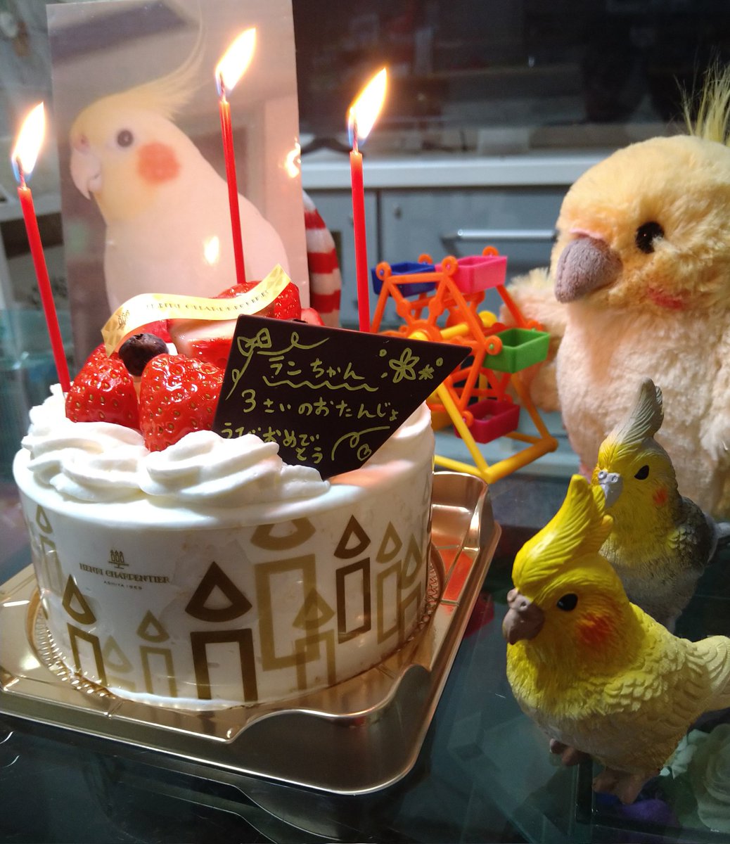 ranchan320's tweet photo. オカメインコ🐣を捜しています❗

今日は、ランちゃん🐥３歳のお誕生日です🎉
一緒にお祝い出来なくて ごめんなさい😭

ランの動画を再生するとフクちゃんは、今でもランちゃんを探すよ🐤
帰っておいで❗
願いが、叶いますように🙏🏻
#インコ迷子 #オカメインコ
#大阪 #東大阪 #関西 #近畿
#拡散希望 https://t.co/BrmUBF2wOK