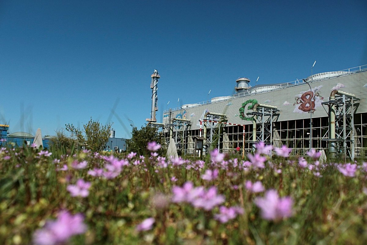 Le #printemps s'installe sur le Cycle Combiné Gaz de Blénod ! 🐦🪺🌷🌳☀️

Et avec lui, les beaux jours font leur retour ! Une bonne occasion de nous rendre #visite en écrivant à visite-blenod@edf.fr📩

#VisiterEDF #DLDJuin