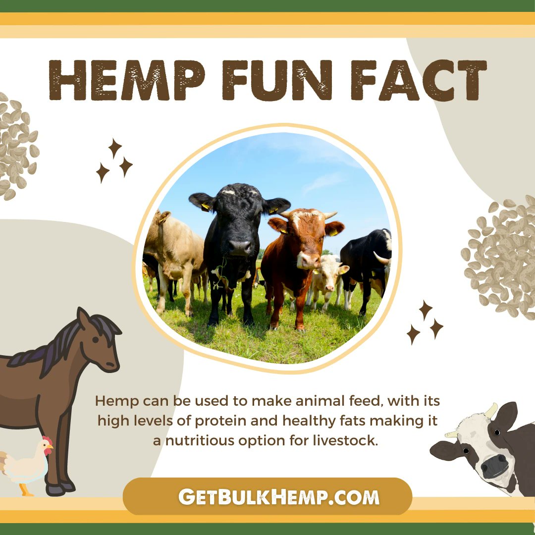 bulkhemp's tweet photo. Hemp can be used to make animal feed, with its high levels of protein, fiber, and healthy fats making it a nutritious option for livestock.
#livestock #hemp #hempseed #hempnutrition #health #fats #nutritious #nutrition #industrialhemp #hempprotein #hempoil #protein #hempfact https://t.co/7VbohOcyhV