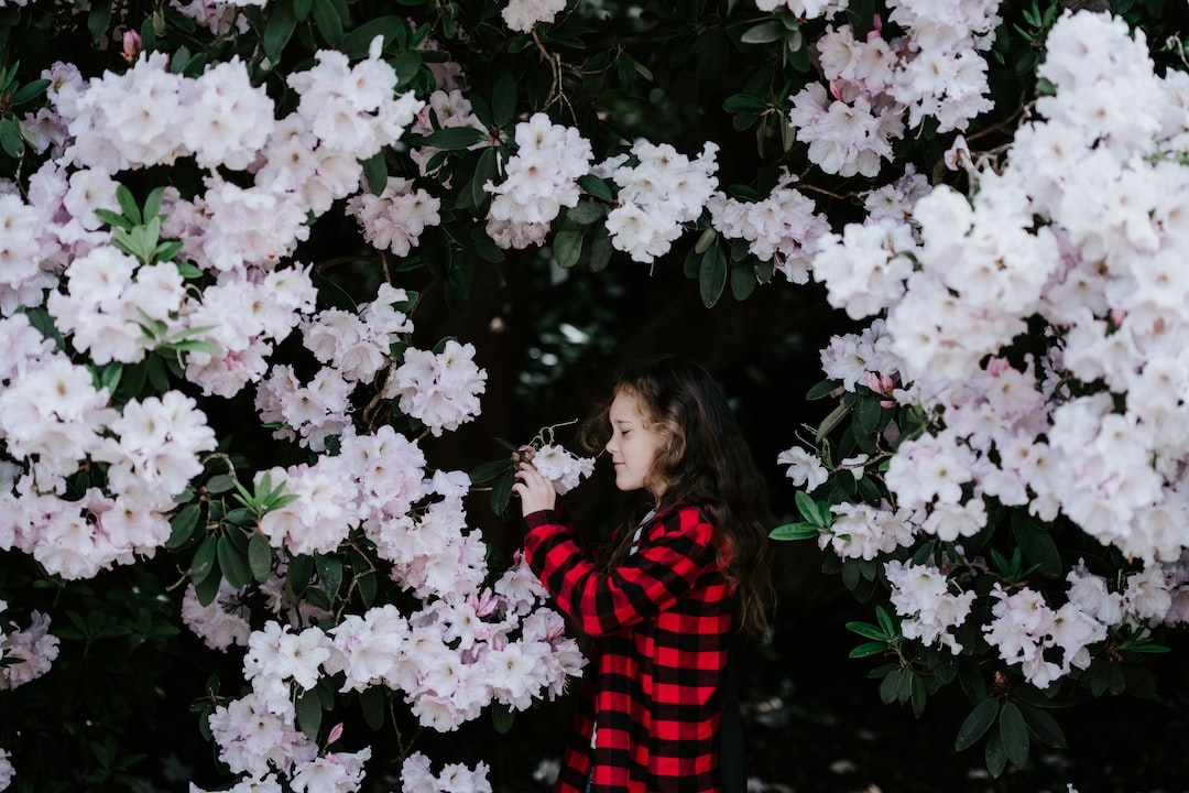 LittleGreenCare's tweet photo. Not only is today the first day of Spring, it's also International Day of Happiness. Spread joy, enjoy life, and don't forget to smell the flowers. 😊 Photo: @anniespratt
#littlegreen #littlegreencares https://t.co/5jvgDBpCHP