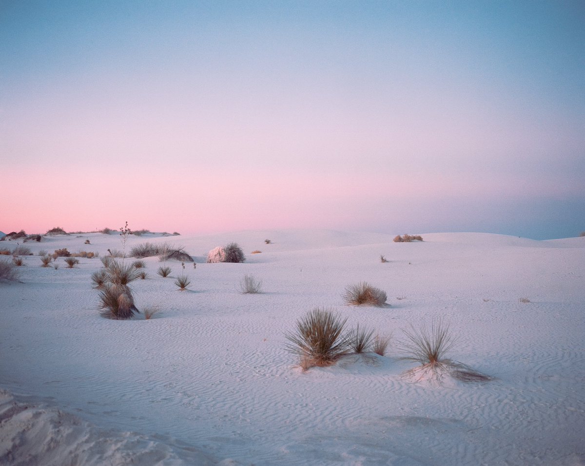 Francesco Aglieri Rinella tweet media