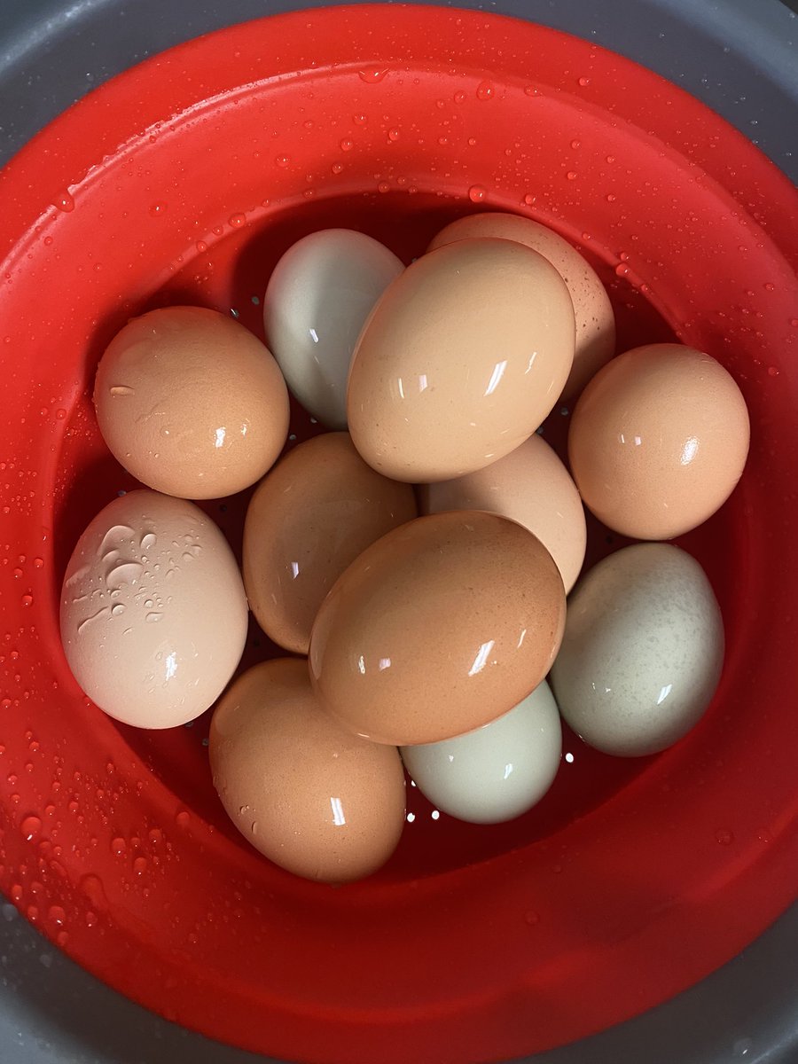 Power Hour Monday ☄️
Each Monday staff at Quest South offers our building an optional protein packed breakfast snack. 
Full bellies=more focused minds💪🏾
Today we delighted in farm fresh scrambled eggs 🍳 😋