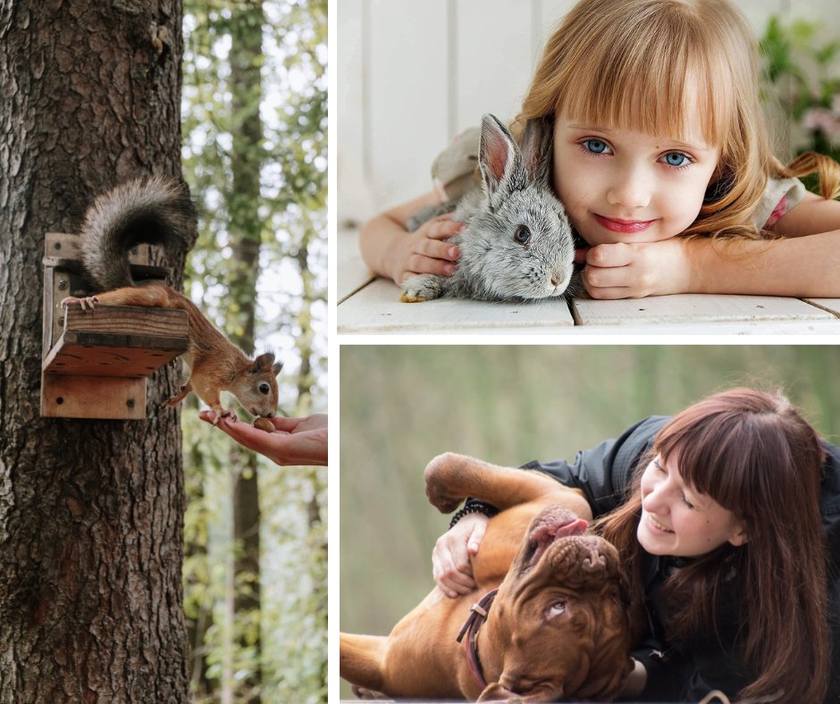 This #InternationalDayofHappiness we're celebrating the happiness that pets and wildlife bring! bit.ly/3TthaGx  😊 

#HappinessDay #Happiness  #PetsUK #NaturalDogTreats #NaturalCatTreats #Cats #Dogs #UKWildlife #Birds #Squirrels #Hedgehogs #Rabbits #Geckos #Chameleons