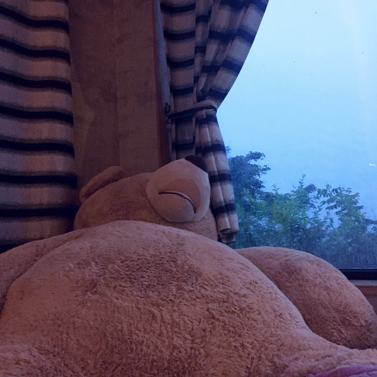 벌써 6년 전이구나. 나에겐 엊그제 같은데 말야…

내가 아무렇지 않게 되는데, 6년이나 걸렸구나 싶어.